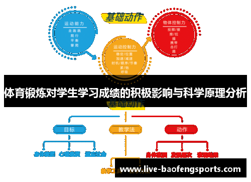 体育锻炼对学生学习成绩的积极影响与科学原理分析