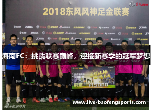 海南FC：挑战联赛巅峰，迎接新赛季的冠军梦想